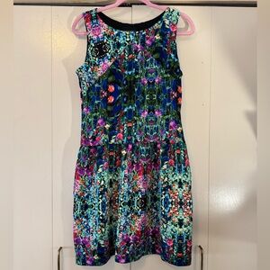 Cynthia Rowley Rich Vibrant Multicolored Pullover Dress Drop Waist Size 10